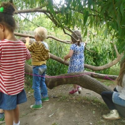tree rubbings